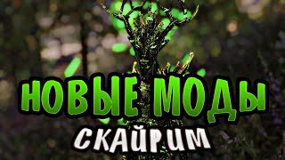 ТОП 10 НОВЫХ МОДОВ СКАЙРИМ