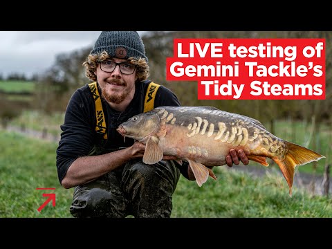 LIVE testing of Gemini Tackle's Tidy Stems | Loads of carp-catching action, plus a detailed review
