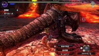【ＭＨＸＸ】超特殊 鏖魔 VS さにつらう