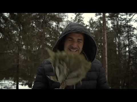 Jesús Hidalgo/ Ícaro del Condoriri - Música Medicina