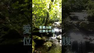 愛鷹山の光る水流と私