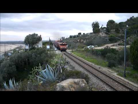 Comboio Distribuição n.º 57373 - Barquinha