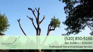 speed dating with books worksheet