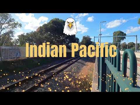 The Magnificent Indian Pacific Top Speed