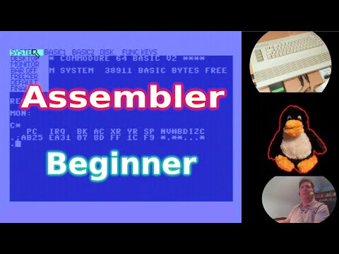 Assembler: Ich habe keine Ahnung - programmiere trotzdem (C64)