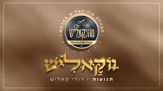 Musikalish Choir & Dudi Kalish - Tenuot | מקהלת מוזיקאליש & דודי קאליש - תנועות