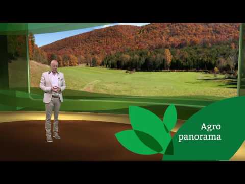 Agro panorama PROMO