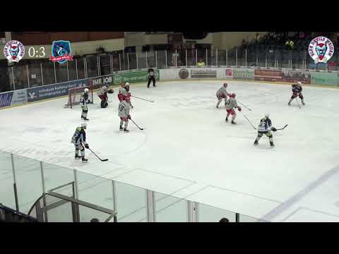 Zusammenfassung Blue Devils Weiden - Selber Wölfe(1:5; 11.01.2020)
