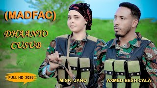 Download lagu DHANTO CUSUB ~ MISKI JANO & AXMED EESH CALAA ~ MADFAC CADAWGA GUBA ~ 2026 VIDEO  mp3