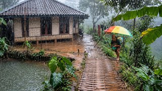 Download lagu Hujan Mengguyur Kampung Seharian‼️🌧️ Suasananya Adem, Tenang & Syahdu Banget Bikin Betah mp3