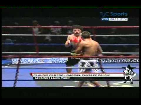 CLAUDIO OLMEDO vs GABRIEL PUÑALEF - RESUMEN