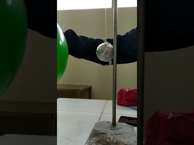 Vídeo relacionado con Betallic - Globo de Papel de Aluminio con Dibujo de Bosque de 91,44 cm