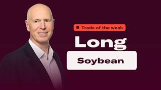 How to go long soybeans as the uptrend resumes | Trade of the week