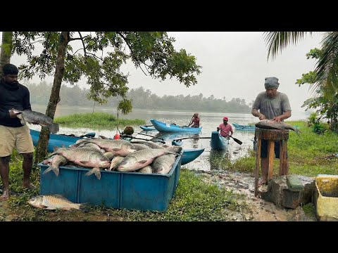 Monsoon Rain, Boats & Knife Skills | Witnessing the Struggle and Beauty of Village Fishing Life