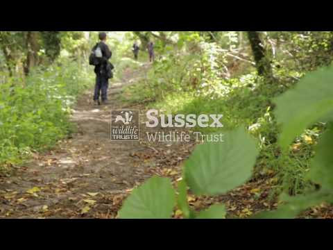 Hove Park School Valley Challenge Walk