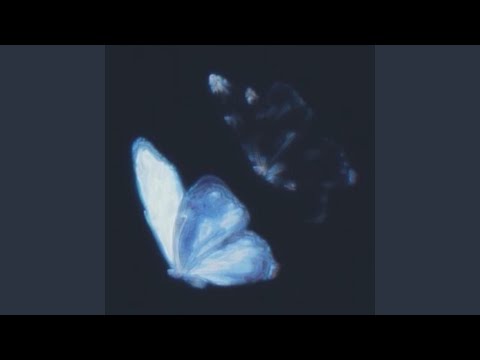 Reflection of a dream