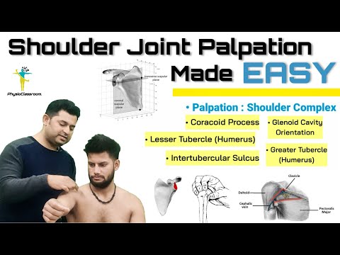 SHOULDER JOINT PALPATION : IMPROVE YOUR PALATORY ASSESSMENT SKILLS