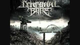 Download lagu Top 10 Brutal-Technical Death Metal Slams Pt. 1 mp3