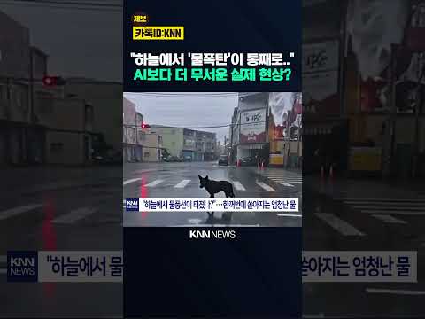 하늘이 무너진 듯 쏟아졌다… 사람들 경악한 '물폭탄' 정체 / KNN