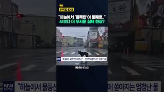 하늘이 무너진 듯 쏟아졌다… 사람들 경악한 '물폭탄' 정체 / KNN