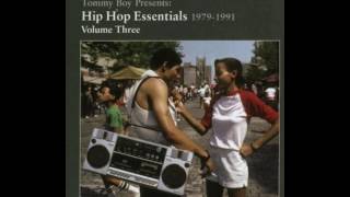Hip Hop Essentials Vol3 The 900 Number 7(The 45 King)