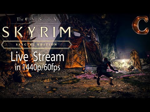 Skyrim Special Edition Live: Into the Forgotten Vale! Part 106, Lvl 68 Legendary (in 1440p/60fps)