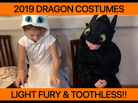 NEW 2019 How to Train your Dragon Hidden World Costumes! Light Fury & Toothless!