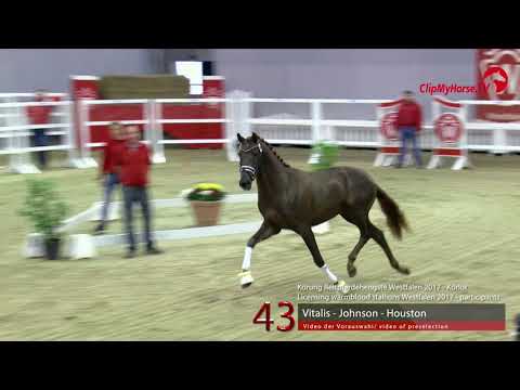 43 Junghengst v. Vitalis - Johnson