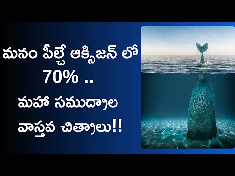 top 10 unexplained ocean mysteries