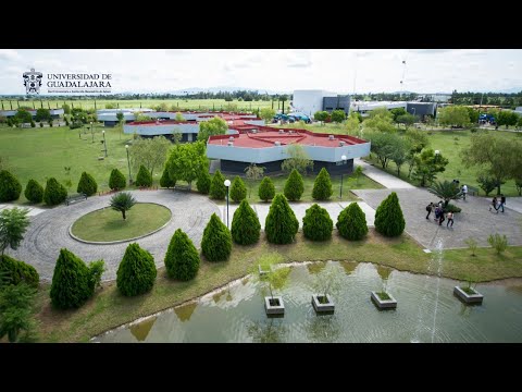 Capacitación para aplicadores de la PAA 2021-A // CUValles (actualizada)