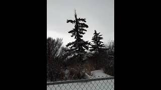 🌈🌈奇跡は起きる！　心の底から願って、心を込めて接したら願いは叶う！　心の平静を保つ、精神的喜びに従って生きる！