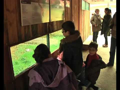 Vinhais, parque biológico uma alternativa para o fim de ano