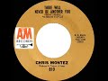 1966 HITS ARCHIVE: There Will Never Be Another You - Chris Montez (mono 45)