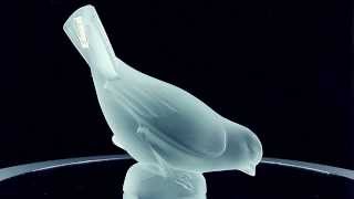 Lalique Birds
