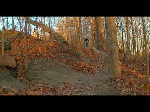 Riverwood Benchcut DH