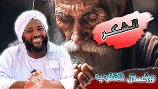 محمد سيد حاج - الشكر - #أعمال_القلوب #محمد_سيد_حاج image