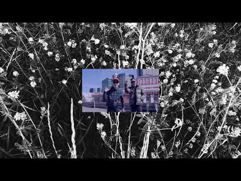 CHOIDOG X SPEEDY – 24 (10 Minute Loop)