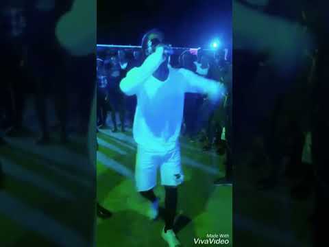 Os biu bau nas quintas vips (WoWo)