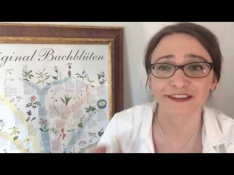 Bachblüte 3 Beech die Toleranzblüte #bachblüten # parkapotheke