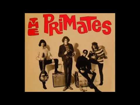 The Primates - Just My Kind.