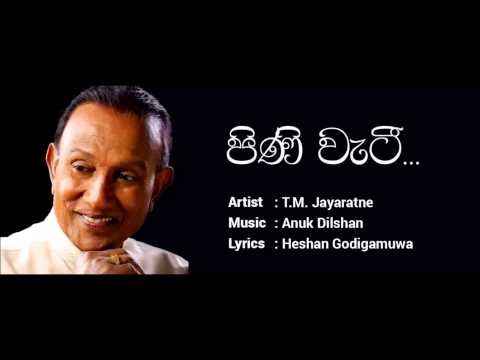 Pini Wati - T.M. Jayarathna ft. Anuk