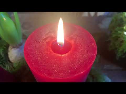 Skapa din egen julgrupp till jul.🪴