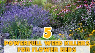 5 Powerful Weed Killers for Flower Beds