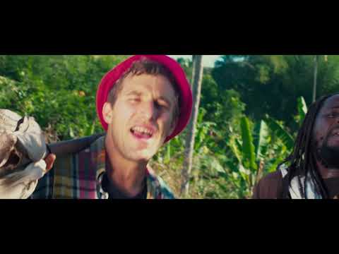 ''ORGANIC'' Magic T & Mojo herb