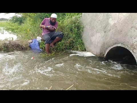 🎣Amazing Fishing||🎣 Abdul Sami fishing|Unique Fishing video|Awesome Fish catching||Village Fishing