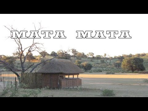 MATA MATA KALAHARI CAMPING & RIVER FRONT ACCOMMODATION