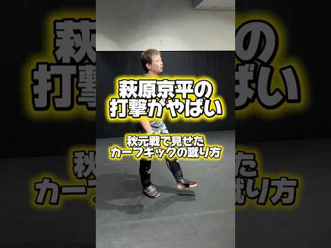 萩原京平の打撃がやばい！秋元戦で見せたカーフキックの蹴り方！#獅庵#RIZIN#ライジン#総合格闘技#キックボクシングテクニック#MMAテクニック#rizinlandmark12 #萩原京平#秋元強真