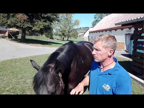 EJC Million 2018 - Luka Racing - Václav Luka