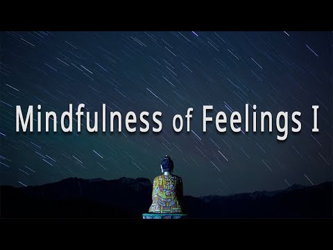 Mindfulness Of Feelings I (#11 The Four Foundations of Mindfulness) by Joseph Goldstein