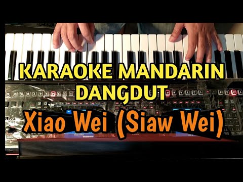 Xiao Wei (Siau Wei) - Huang Pin Yuan | Karaoke Mandarin Dangdut Koplo Jaipong